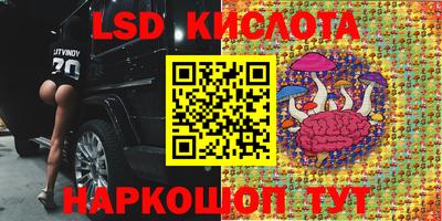 амфетамин Новодвинск