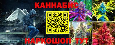 соль ск Новокубанск