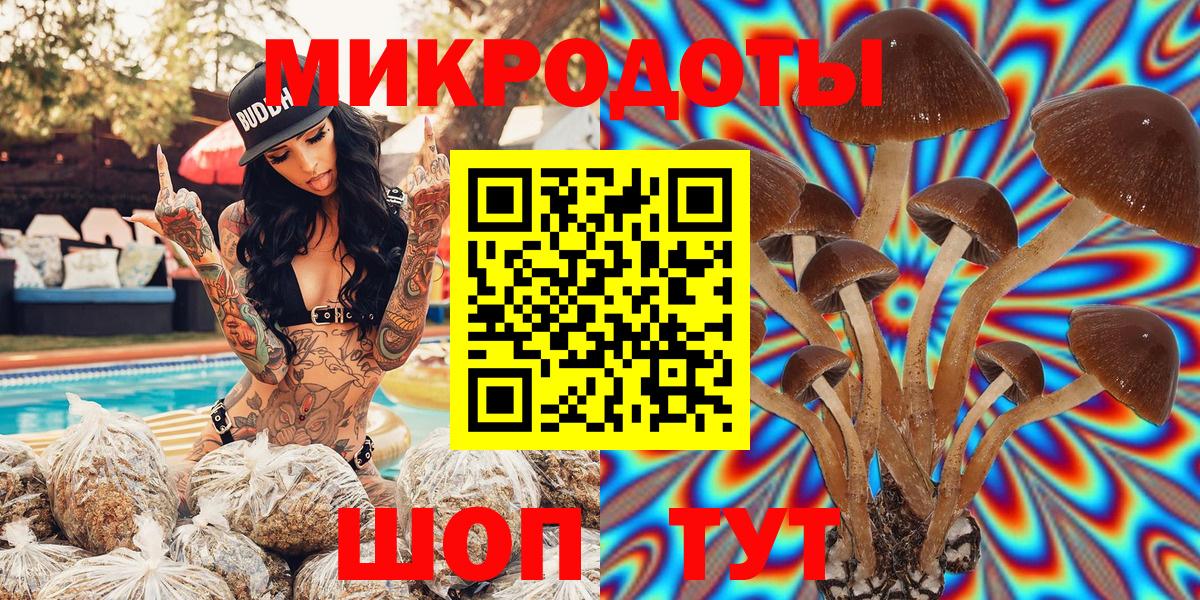 Галлюциногенные грибы Psilocybine cubensis Псков