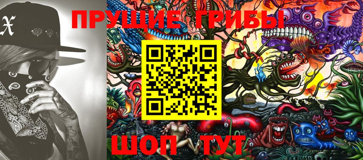 Псков  Галлюциногенные грибы Psilocybine cubensis  Вход с VPN 